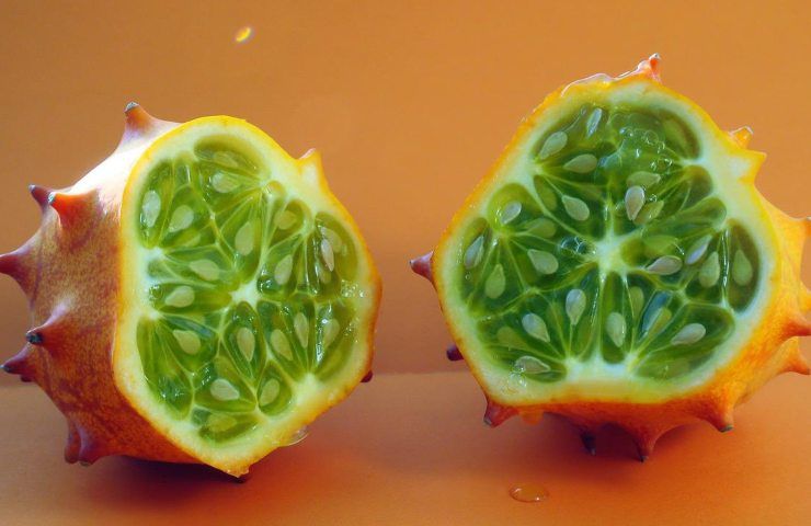 melone cornuto frutto 