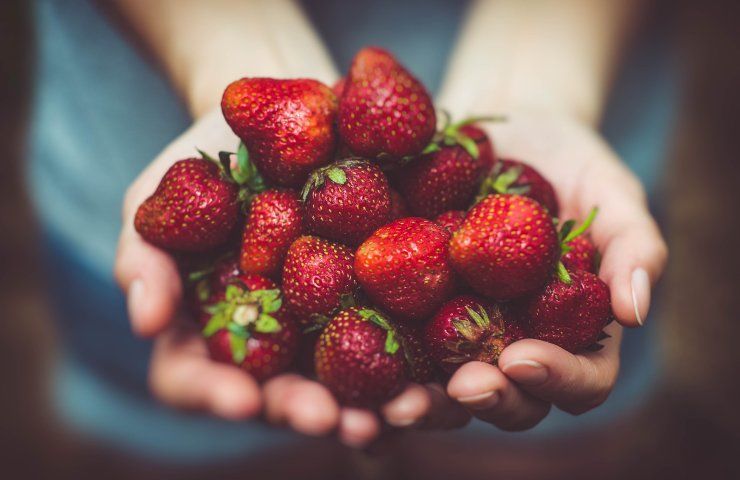 Fragole