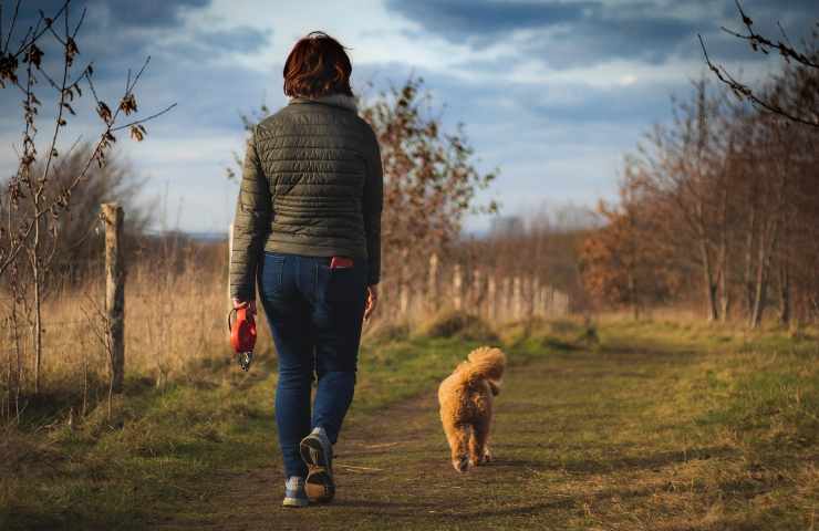 Camminare