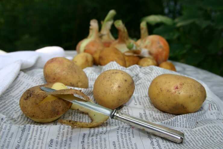 Buccia di patate