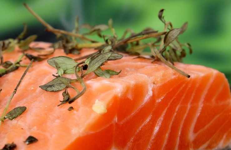 Salmone