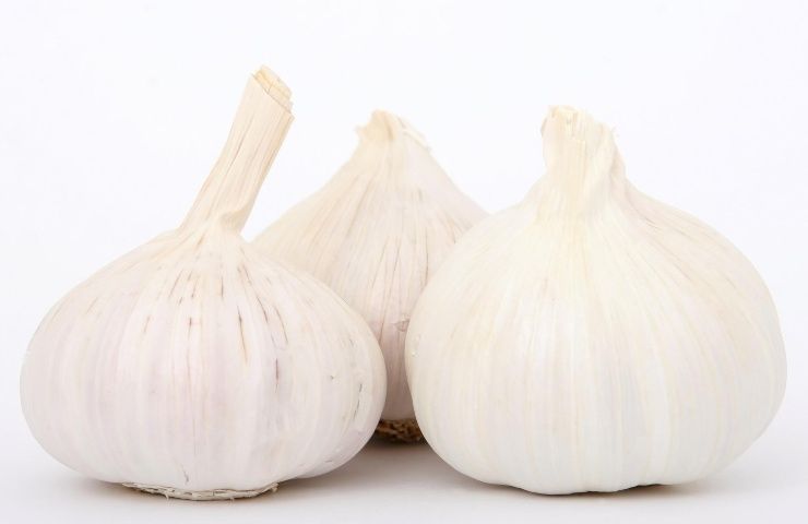 Aglio