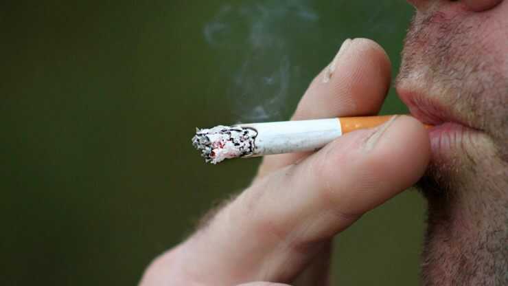Dieta ridurre effetti nocivo sigarette