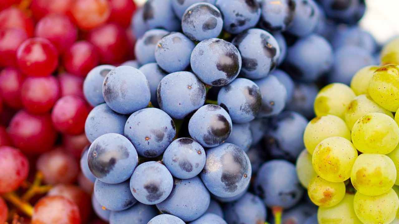 pressione alta abbassare frutti