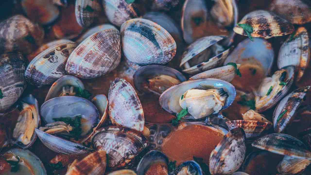 allerta alimentare vongole contaminate