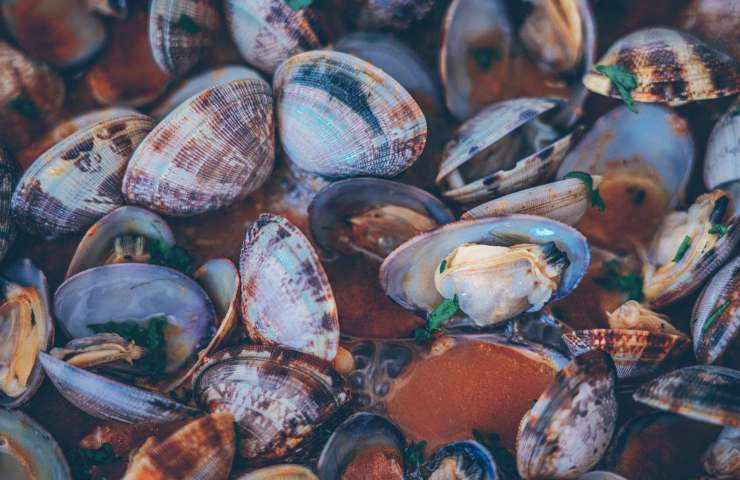 richiamo alimentare vongole 