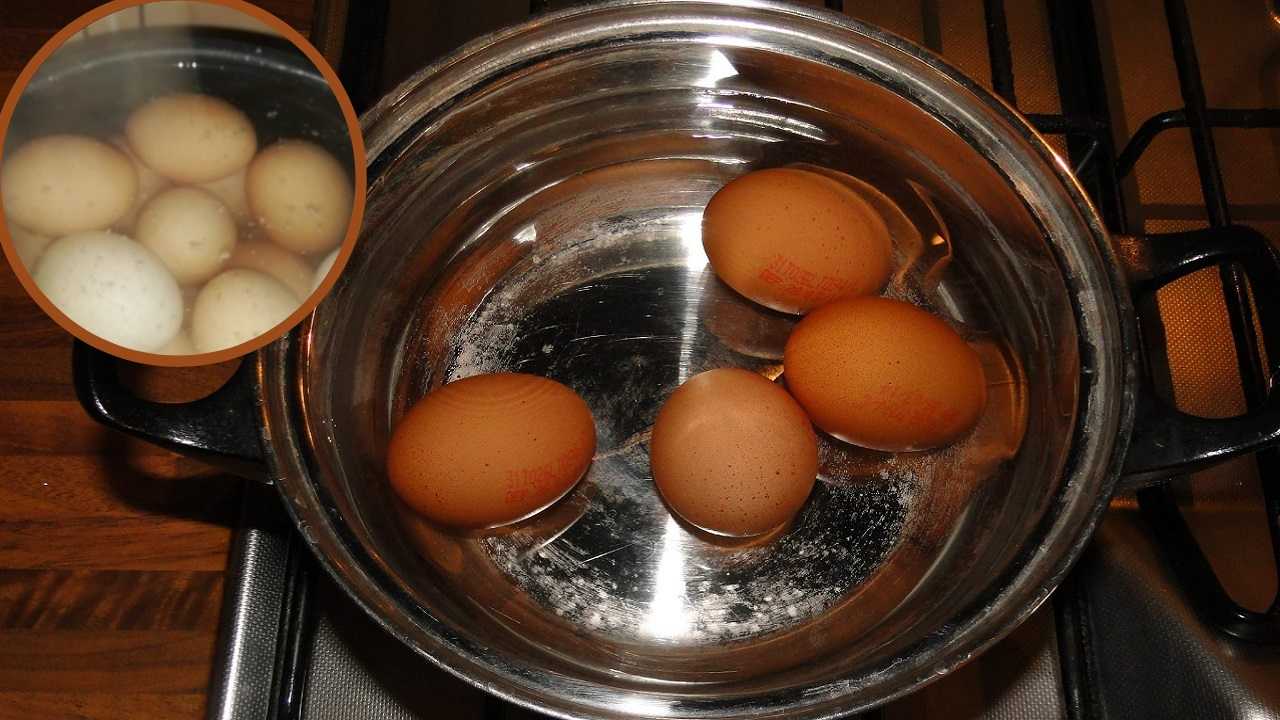 Perché non buttare acqua di cottura delle uova