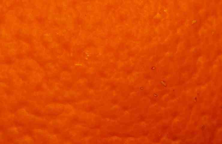 Buccia arancia