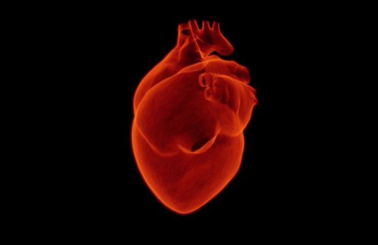 Risks of cardiovascular disease
