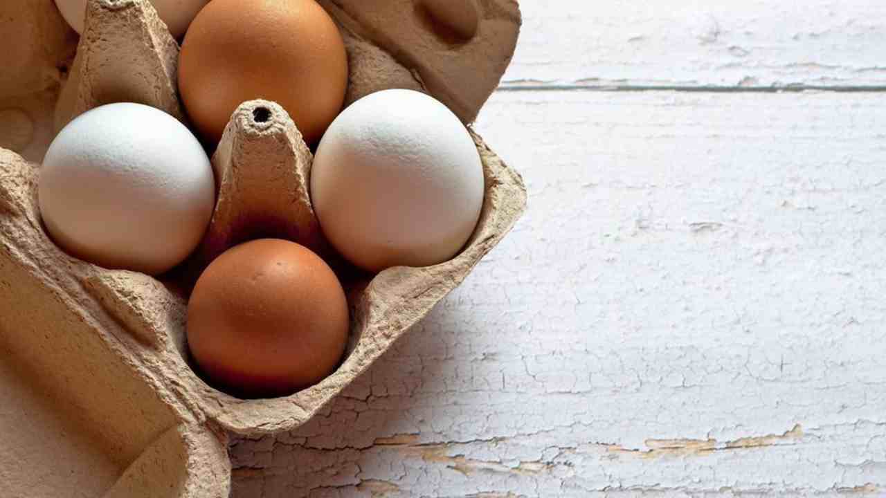 uova contaminate salmonella sintomi mercato