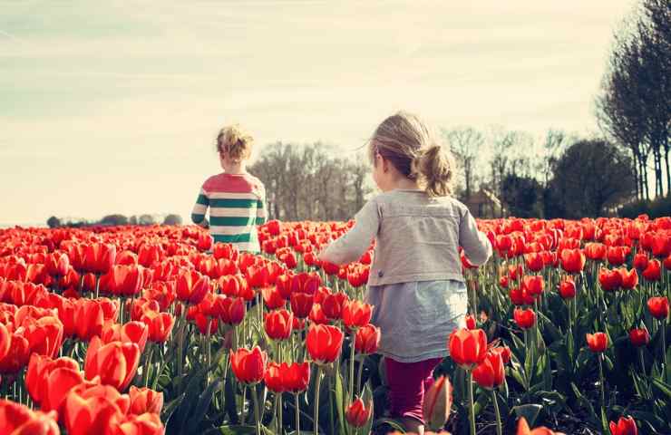 Due bambini in un campo di fiori