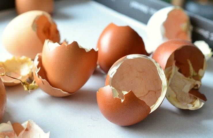 Gusci uova (Foto Pixabay)
