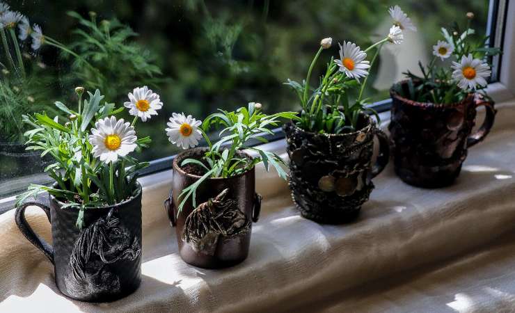 Margherite sul balcone