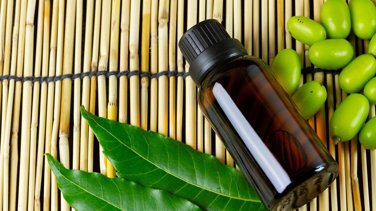 Olio di Neem, sai a cosa serve? Ti è molto utile