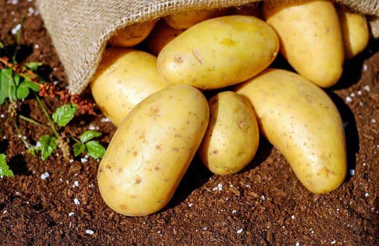 Patate (Foto Pixabay)