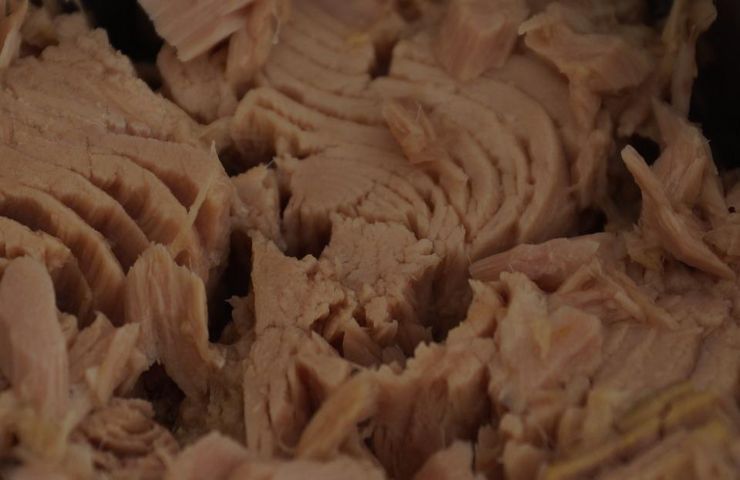 Tuna extracted from the can
