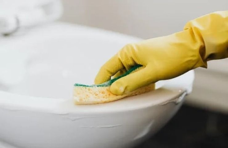 Una persona pulisce la tazza del wc