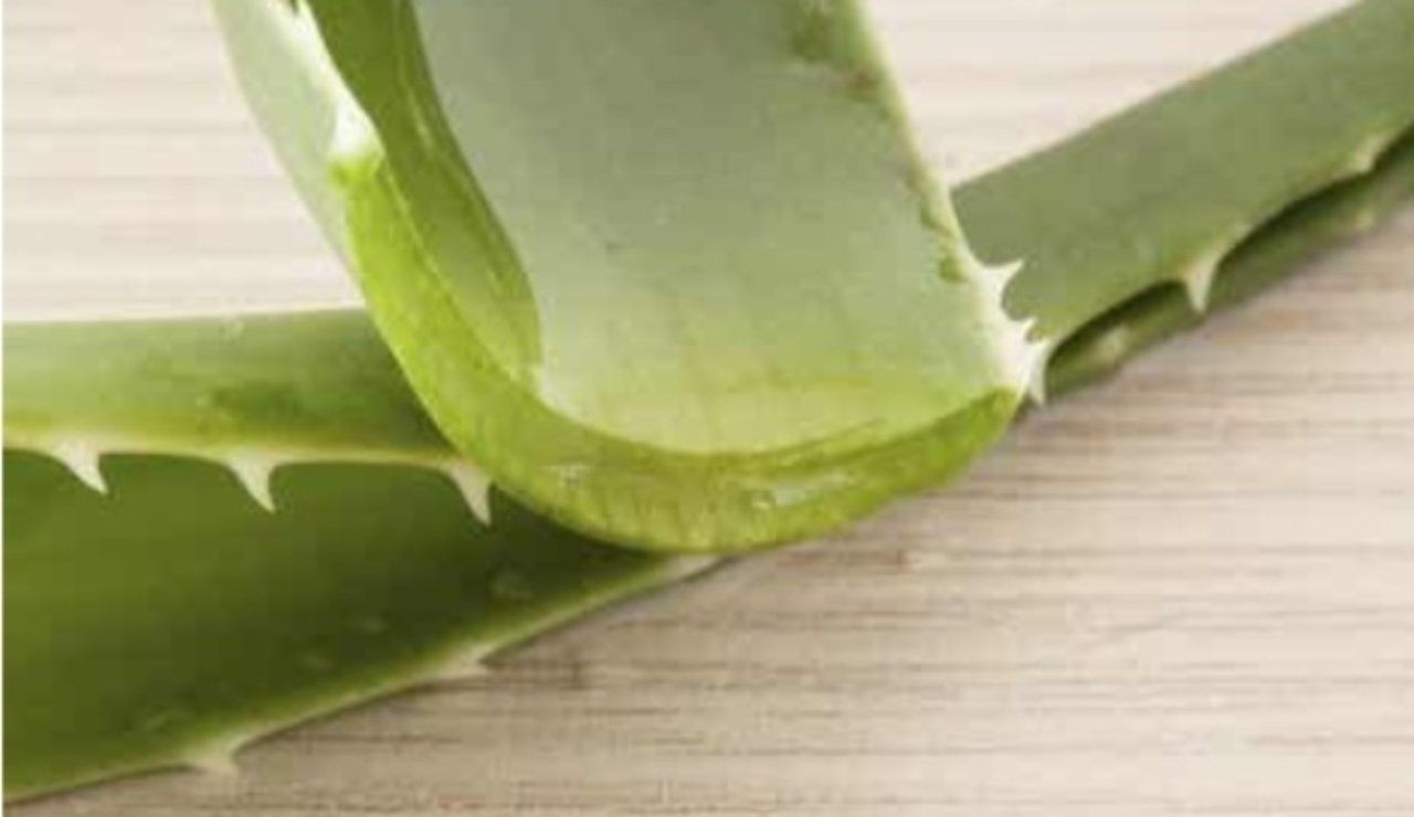 gel aloe vera estate