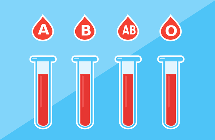 Il test del gruppo sanguineo rivela che tipo di persona sei (Foto Pixabay)