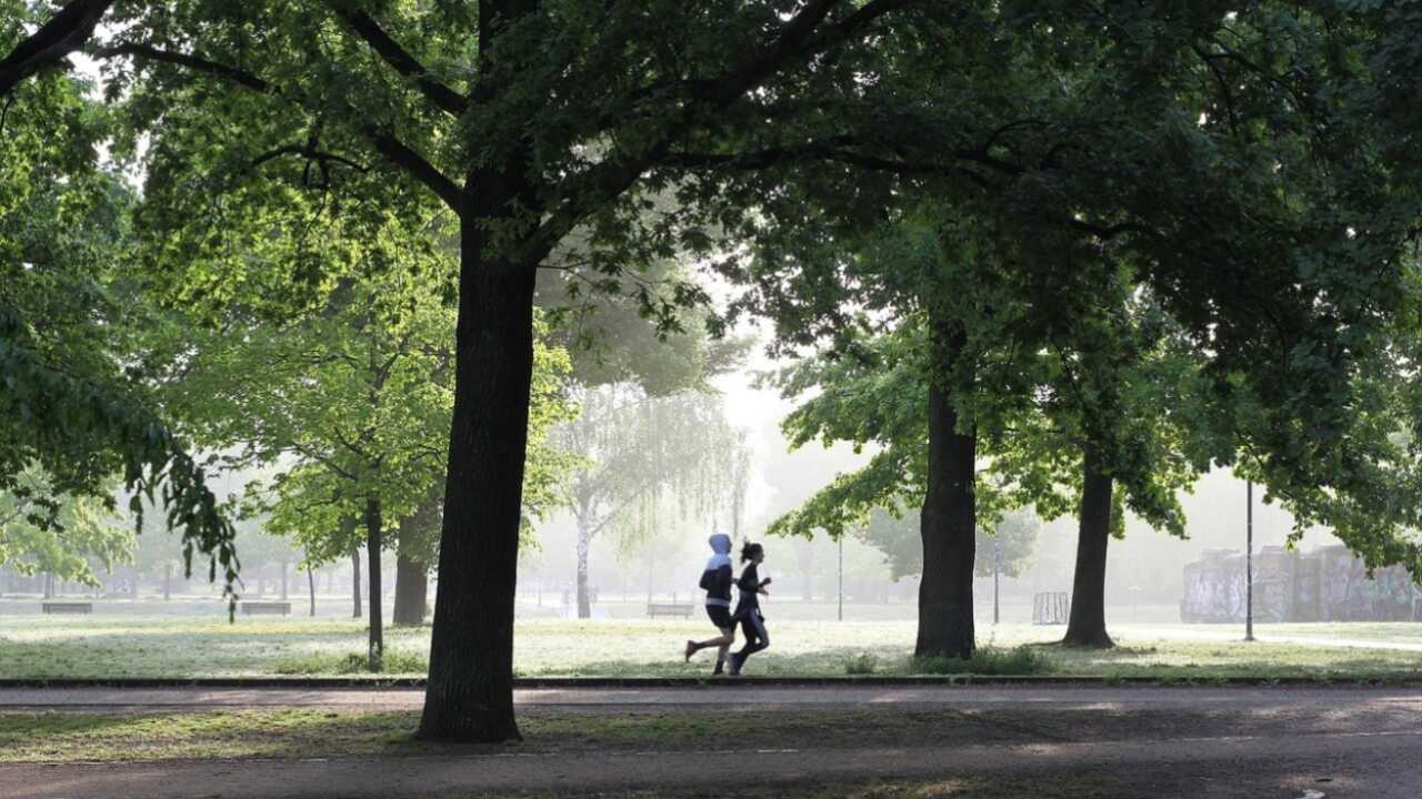 Allenarsi mattino sera