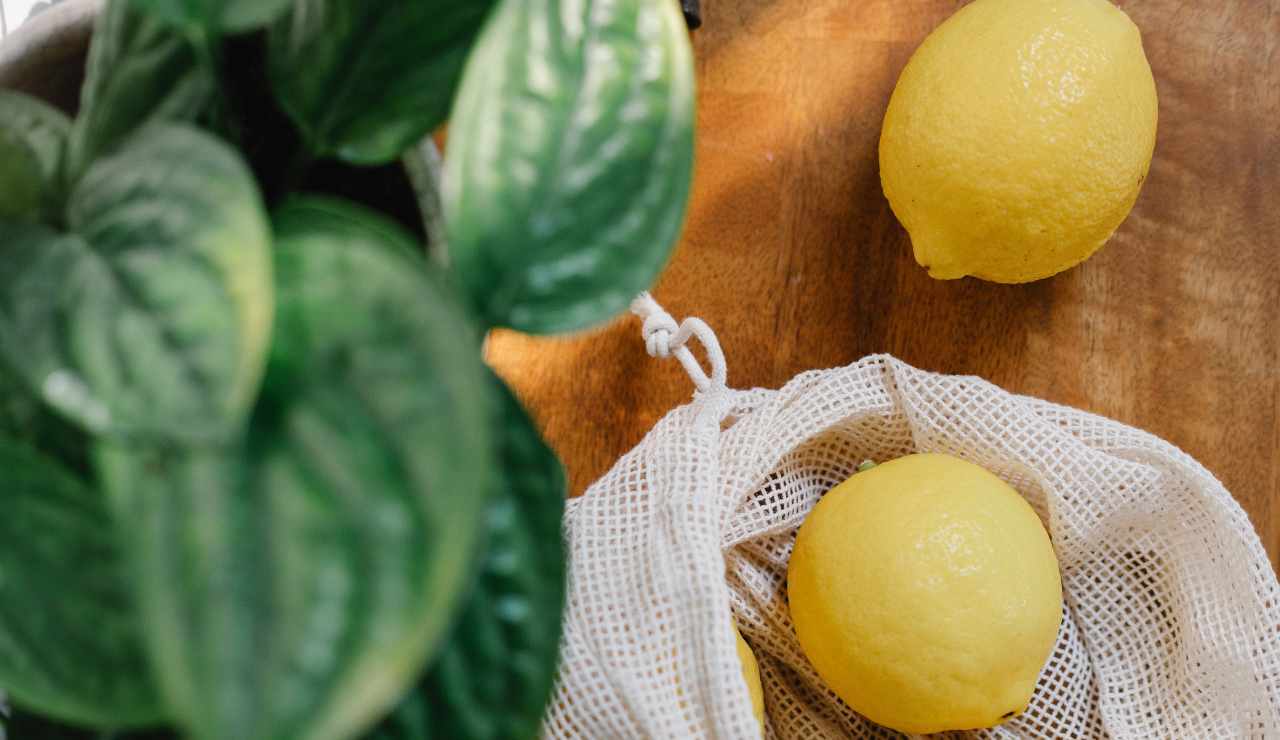 pesto limoni