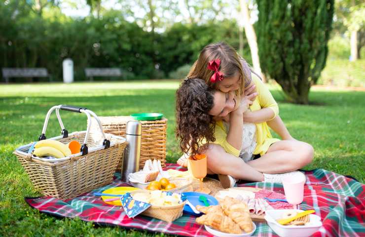 Insetti sul cibo picnic