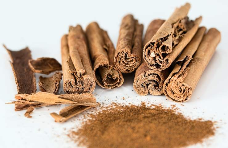 Cannella