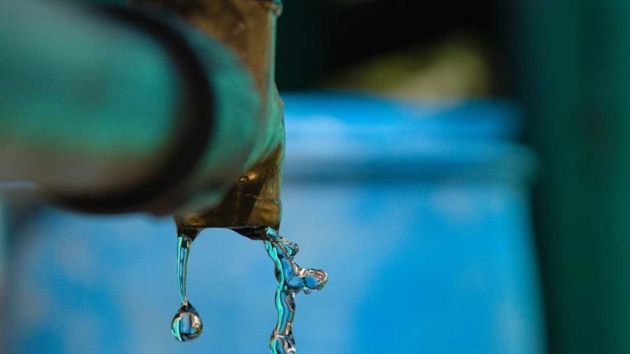 Come evitare di sprecare l'acqua regole casa piante