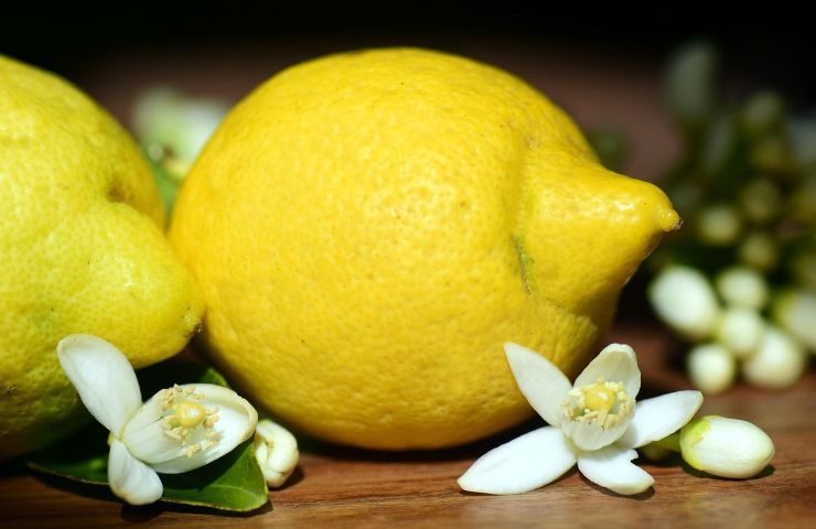 benefici limone comodino notte