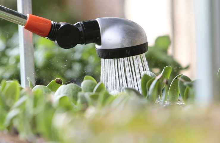 Annaffiare senza troppa acqua metodo