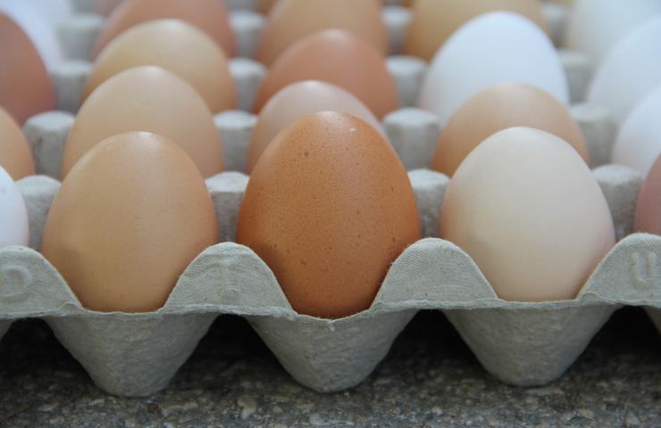 Delle uova nel loro contenitore originario