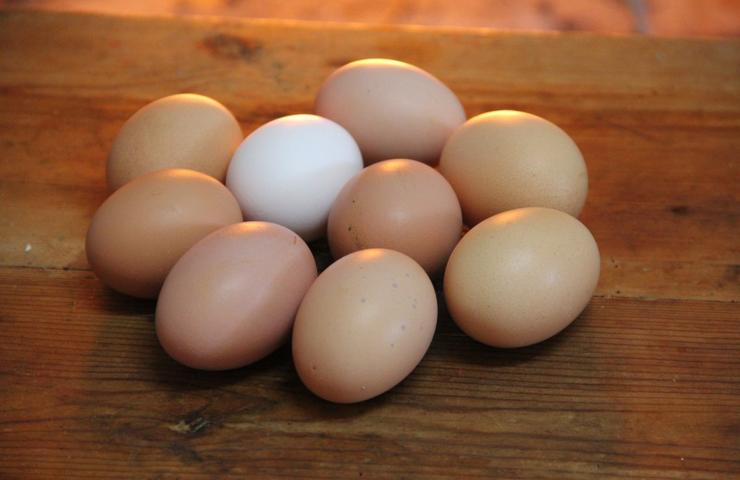 Diverse uova su di un tavolo di legno