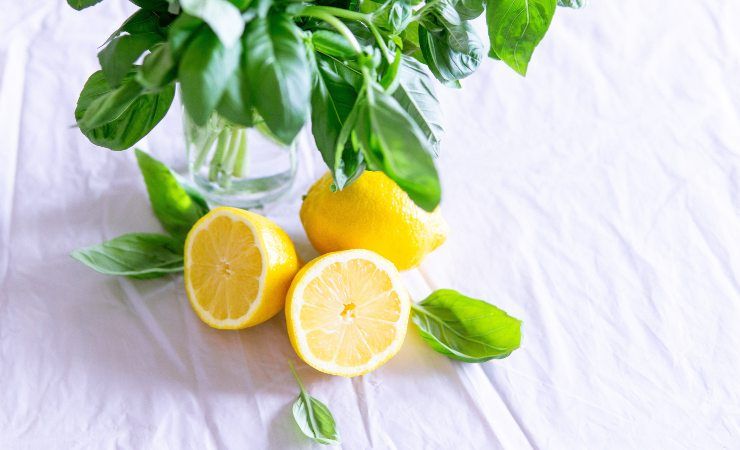 eliminare odori con limoni