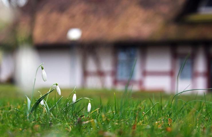 Lo scorcio di un giardino