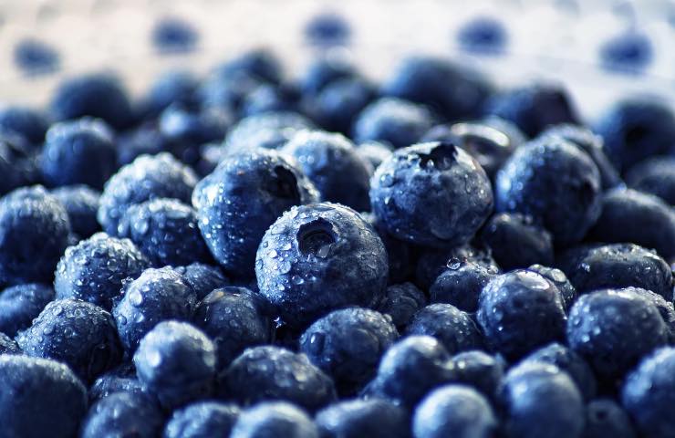 blueberries