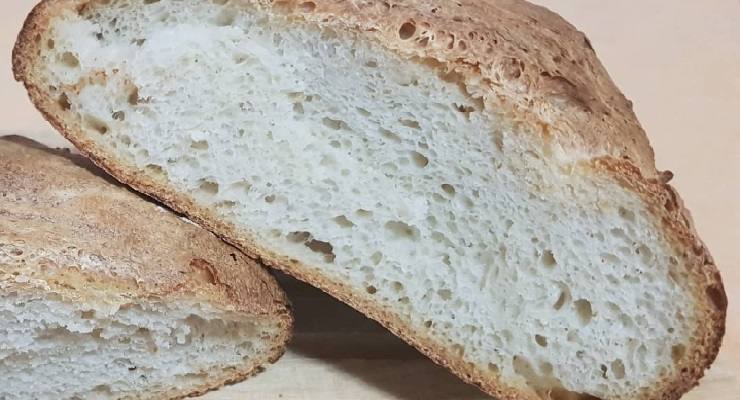 Pane come averlo fresco senza freezer