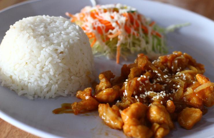 bacteria rice meat pasta