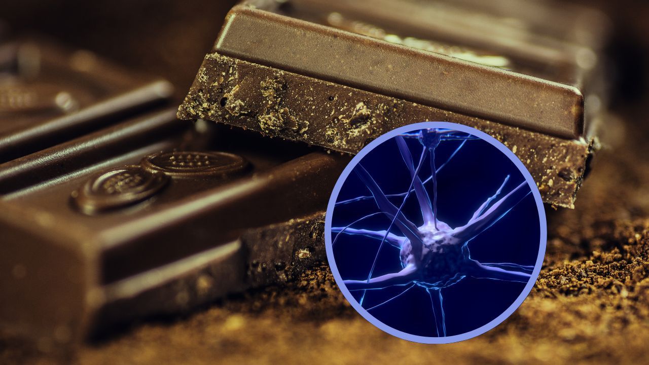 Cioccolato benefici sul cervello