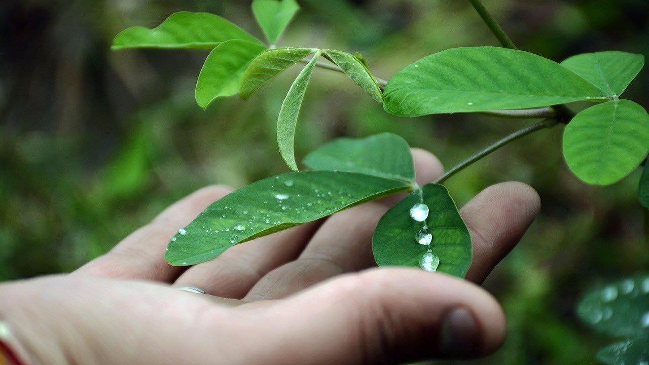 non sprecare acqua