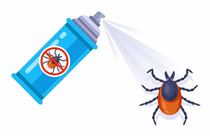 Spray anti scarafaggi