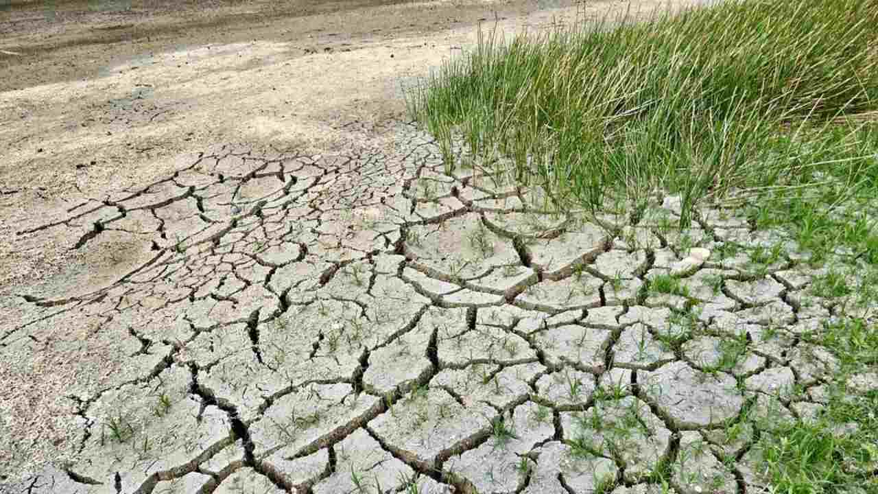 emergenza idrica siccità stato