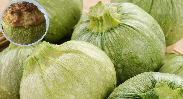 Zucchine tonde come si cucinano