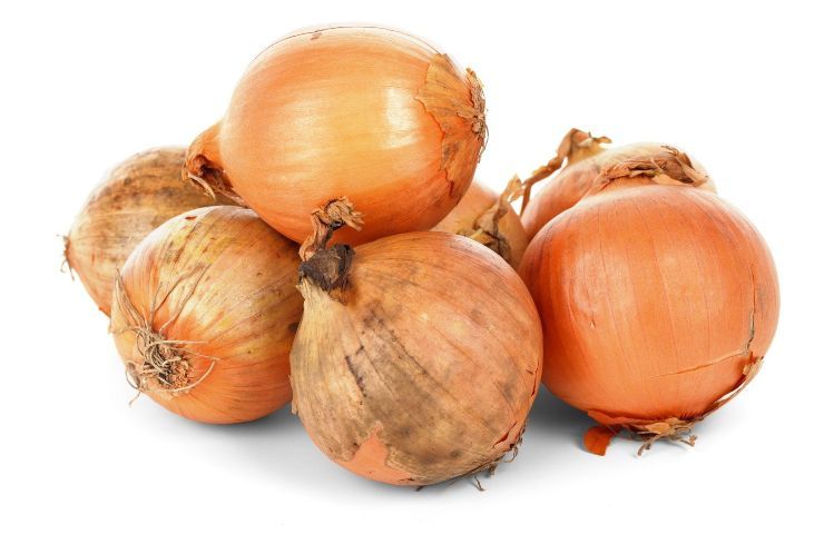 Cipolla