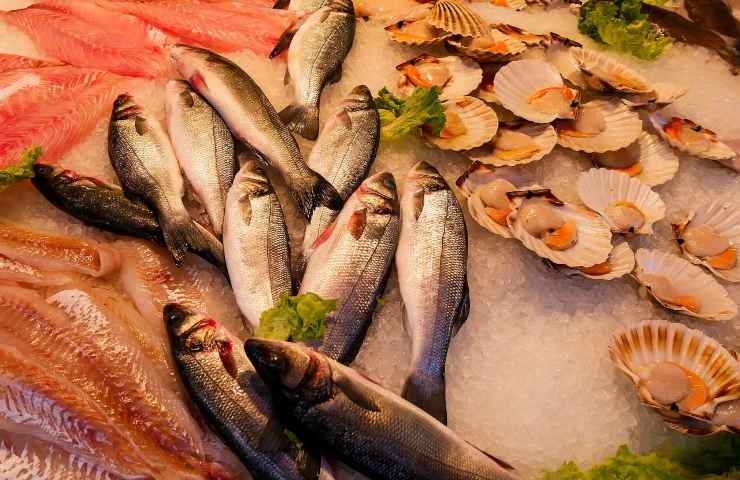 dieta pesce adatto