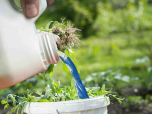 candeggina versata sulle erbacce