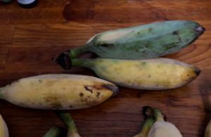 Banana blu, che sapore ha e dove possiamo trovarla