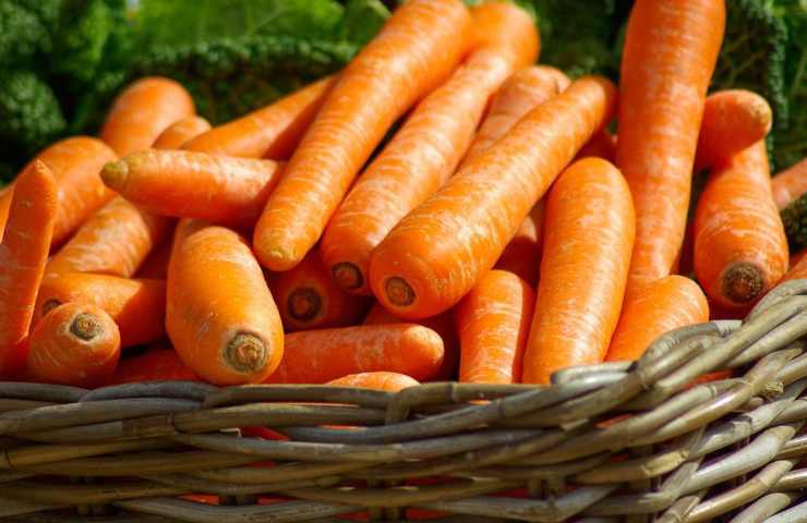 Delle carote in un cestino