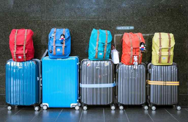 Delle valigie e delle borse poste in fila