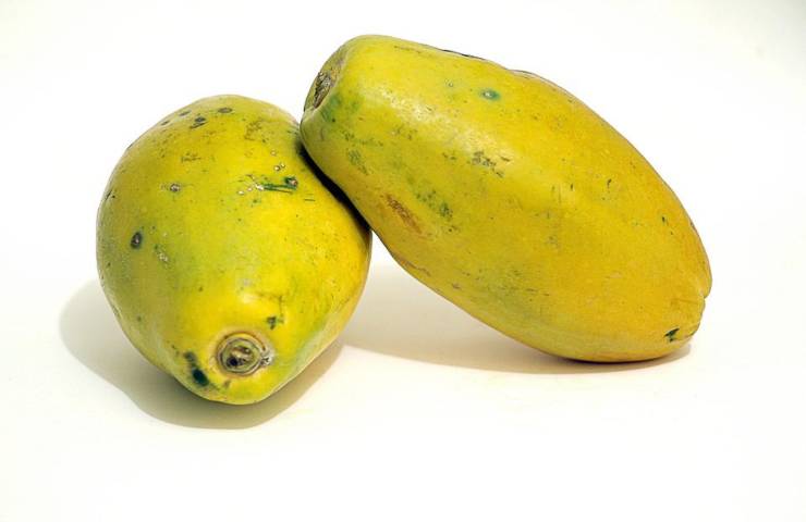 Due papaye