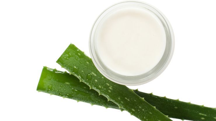 utilizzare aloe